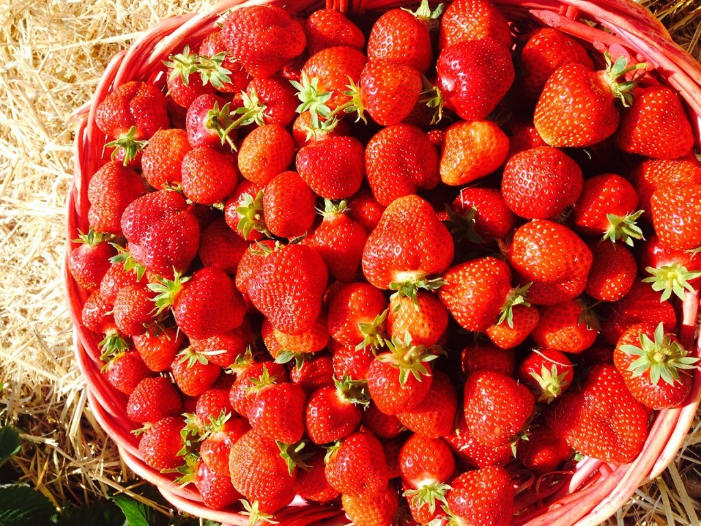 strawberries-359055_1280