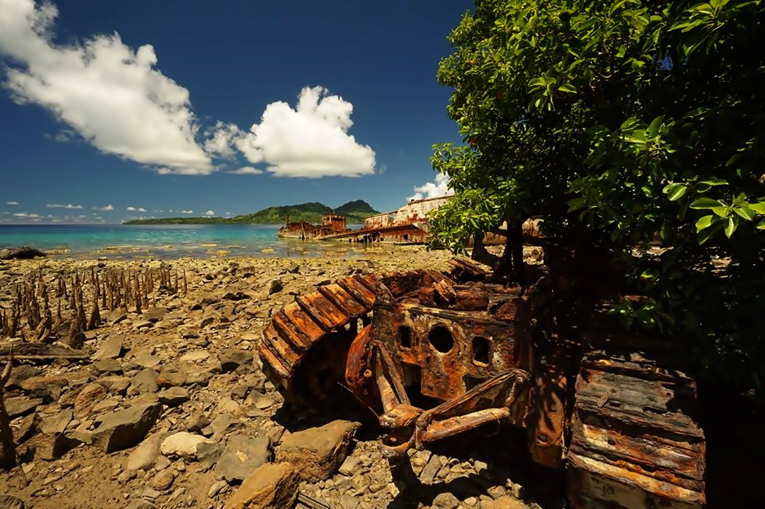 shipwreck-island-tropical-ocean-palm-trees-1560x1038