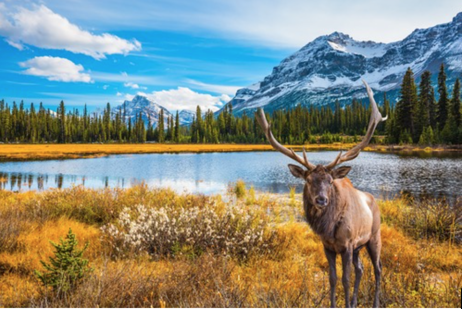 The Canadian Outdoors is Waiting, No Matter the Season - I Live UpI Live Up